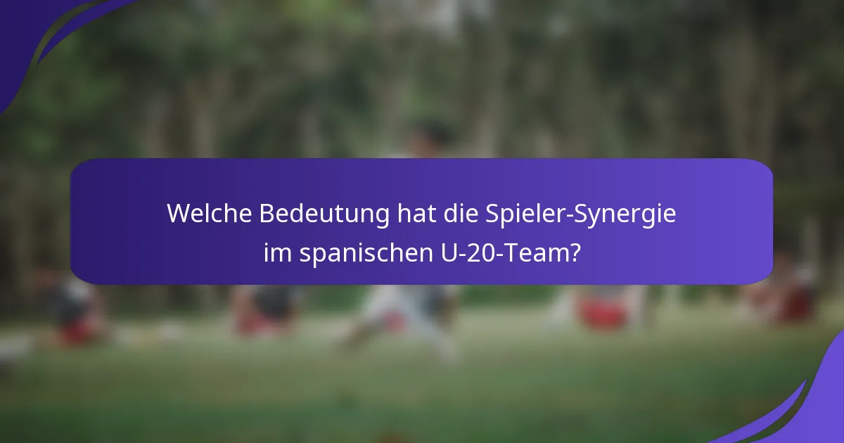 Welche Bedeutung hat die Spieler-Synergie im spanischen U-20-Team?