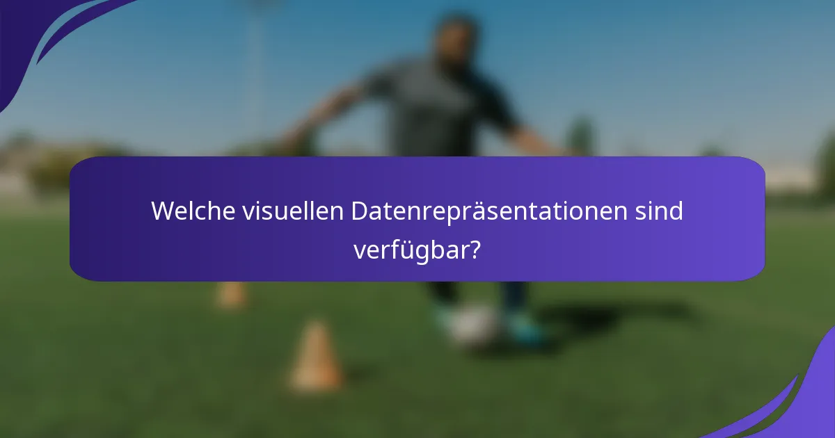 Welche visuellen Datenrepräsentationen sind verfügbar?